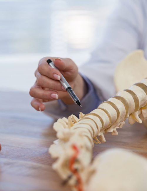 Doctor explaining anatomical spine to patient in medical office